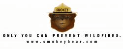 Smokey Bear Logo